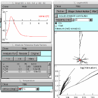 Neuron